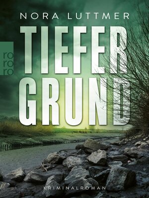 cover image of Tiefergrund